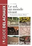 vignette
